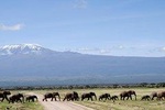 Private 6 Days Amboseli, Lake Naivasha & Masai Mara Safari