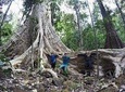 Nam Cat Tien National Park 2 Days 1 Night