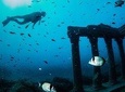 Side:Scuba Diving Experience Underwater Museum Side