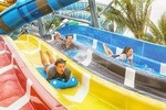 Kids Favorite : From Bangkok to Pattaya Cartoon Network & Teddy Bear Museum 