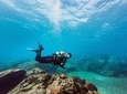 Immersion Certified Diver