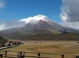 Private Tour to Cotopaxi National Park and Limpiopungo Lagoon Visit from Quito
