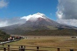 Private Tour to Cotopaxi National Park and Limpiopungo Lagoon Visit from Quito