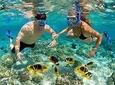 Tour 5 Rosario Islands