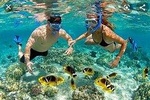 Tour 5 Rosario Islands