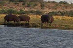 Zambezi sunset cruise & Guided tour of Victoria falls(water falls)