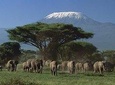3 Days Kilimanjaro & Tsavo special safari