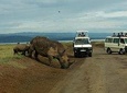 6 Days Maasai Mara - Nakuru - Amboseli budget group safari.