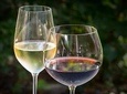 Ston and Peljesac with Wine Tasting Private Tour