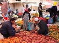 Atlas Mountains and Three Valleys & Waterfalls with Camel ride Day Trip