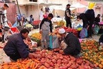 Atlas Mountains and Three Valleys & Waterfalls with Camel ride Day Trip