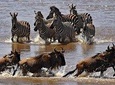 16 Days Kenya and Tanzania Safari Holiday 