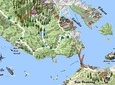Best San Francisco, Muir Woods & Sausalito Private Combo Tour
