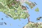 Best San Francisco, Muir Woods & Sausalito Private Combo Tour