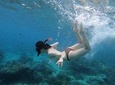 Snorkeling In Nusa Penida Departing From Bali Island,Snorkeling in Blue Paradise