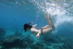 Snorkeling In Nusa Penida Departing From Bali Island,Snorkeling in Blue Paradise