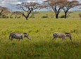 9 days Kenya Tanzania Safari