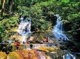 Templers Park Water Falls, Batu Caves And Firefly Tour