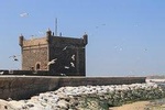 Private Day trip to Essaouira from Marrakech 