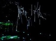 Blue Mountains Hiking Glow worms Cave Wildlife Spotlighting Night Adventure 