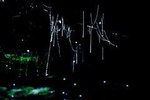 Blue Mountains Hiking Glow worms Cave Wildlife Spotlighting Night Adventure 