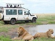 Magical Mwanza 6 days Safari Package