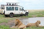 Magical Mwanza 6 days Safari Package