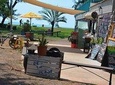 Darwin City tour - Darwin City and Lifestyle tour