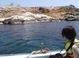 Zapallar and Cachagua Island Experience 