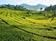 4 Day 3 Night City Tour Jakarta - Bandung 