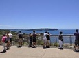 Sydney Sightseeing Bus Tour with Bondi Beach