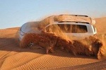Abu Dhabi desert Safari with BBQ Dinner , Camel Ride , Bally Dance 