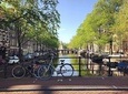 Amsterdam from Top to Bottom