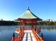1-Day Hakata Walking Tour