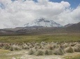 Sajama National Park