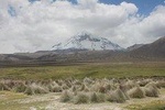 Sajama National Park