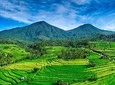 Tanah Lot - JatiLuwih (UNESCO) - Ulun Danu Temple - Wanagiri Hill - Free WiFi