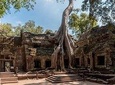 Explore Angkor Wat and Ta Phrom in depth