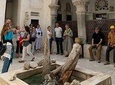 Discover the old city of dubai by walk