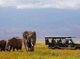 7 Days Samburu, Lake Naivasha & Masai Mara National Reserve 
