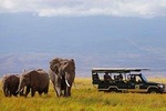 7 Days Samburu, Lake Naivasha & Masai Mara National Reserve 