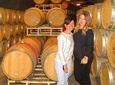 Experience our Muir Woods and Wine Country Combo Tour