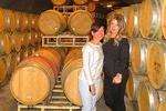 Experience our Muir Woods and Wine Country Combo Tour