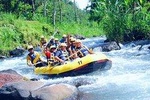 Ayung River Rafting with Kintamani Volcano Tour and Jungle Swing Ubud