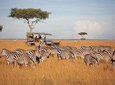 10 Days Kenya Photographic Safari Package