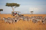 10 Days Kenya Photographic Safari Package