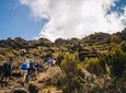 7 days Rongai route Kilimanjaro Christmas summit | BURIGI CHATO SAFARIS CO LTD
