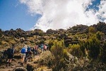 7 days Rongai route Kilimanjaro Christmas summit | BURIGI CHATO SAFARIS CO LTD