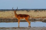 Kilimanjaro Day Hike Via Marangu Route - With- BURIGI CHATO SAFARIS CO L.T.D