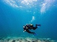 Try Dive in Tenerife